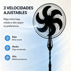 Ae55b6fb45e964fd49ee03397e46462fdz